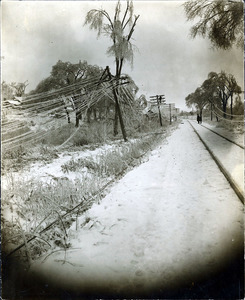 Ice storm; North from Osgood St.