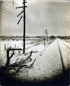 Ice storm; North from Osgood St.