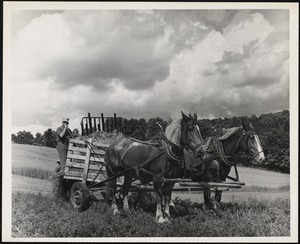 Vermont haying
