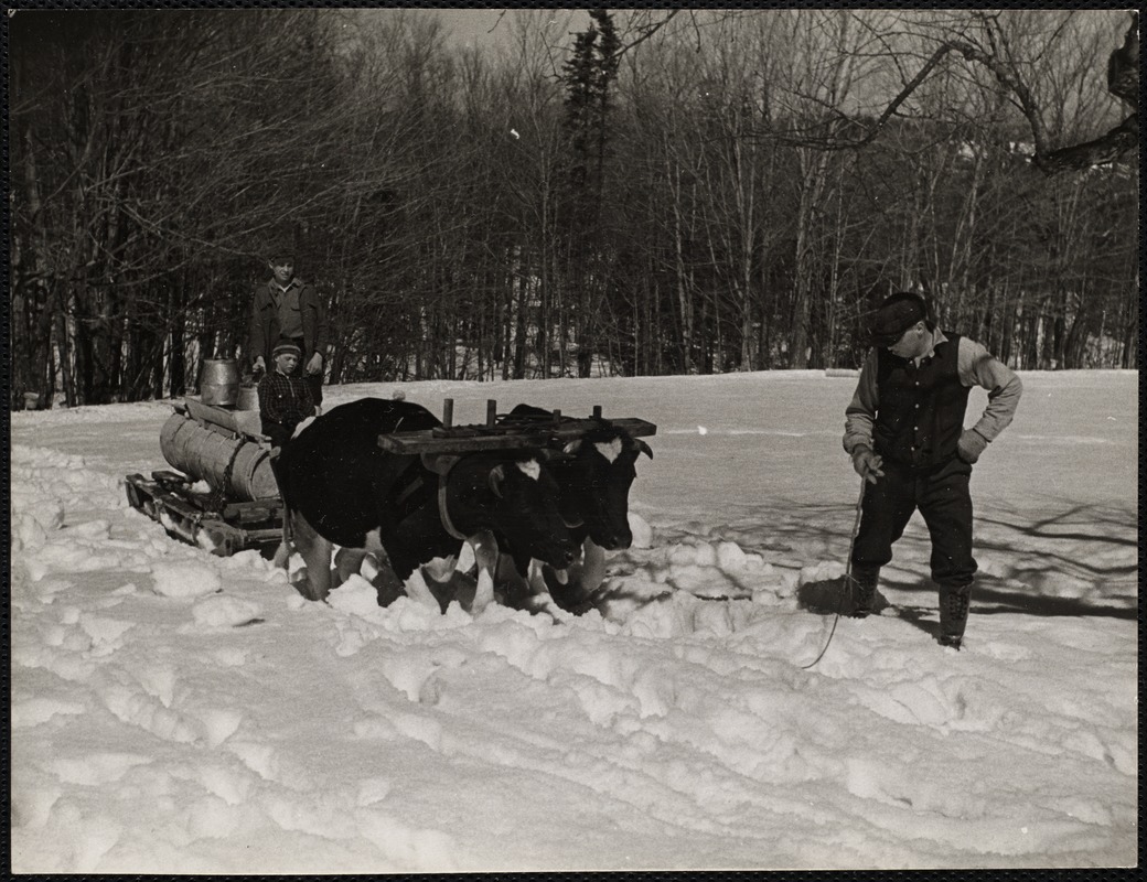 Whitney Farm, Marlboro, VT Digital Commonwealth