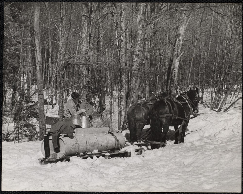 Whitney Farm, Marlboro, VT Digital Commonwealth