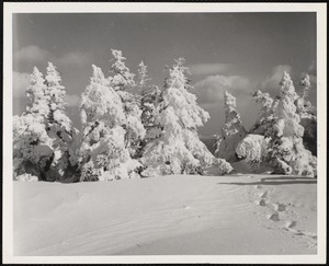 Summit, Mt. Mansfield, VT