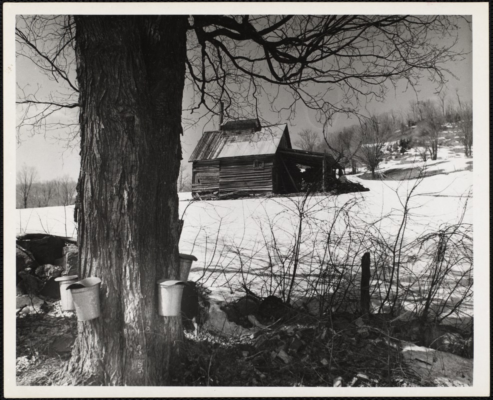 West Topsham, VT Digital Commonwealth