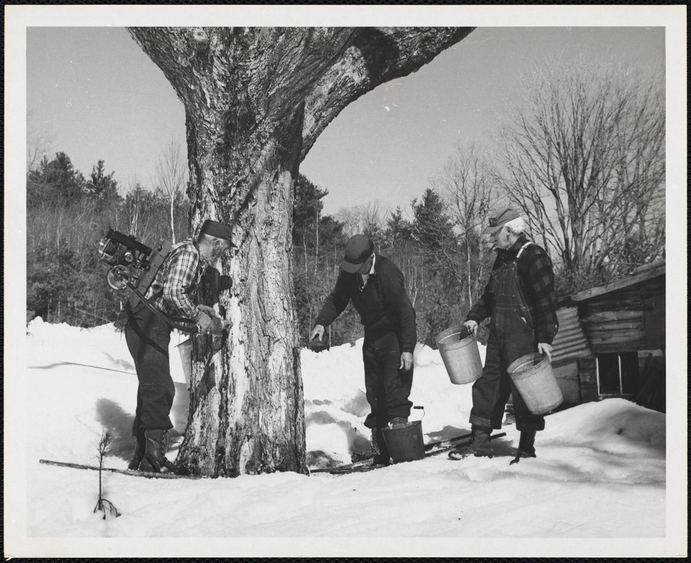 New London, N.H.