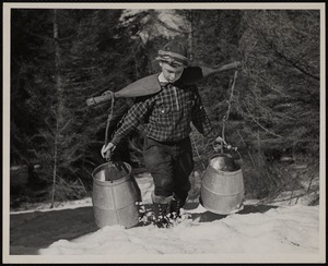The shoulder yoke was the old way to haul + collect the sap - Wilmington, Vt.