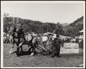 Turnbridge, Vt. Worlds Fair Horse pulling - Donald Guild