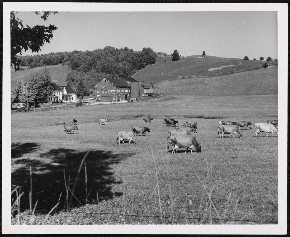 W. VT Digital Commonwealth