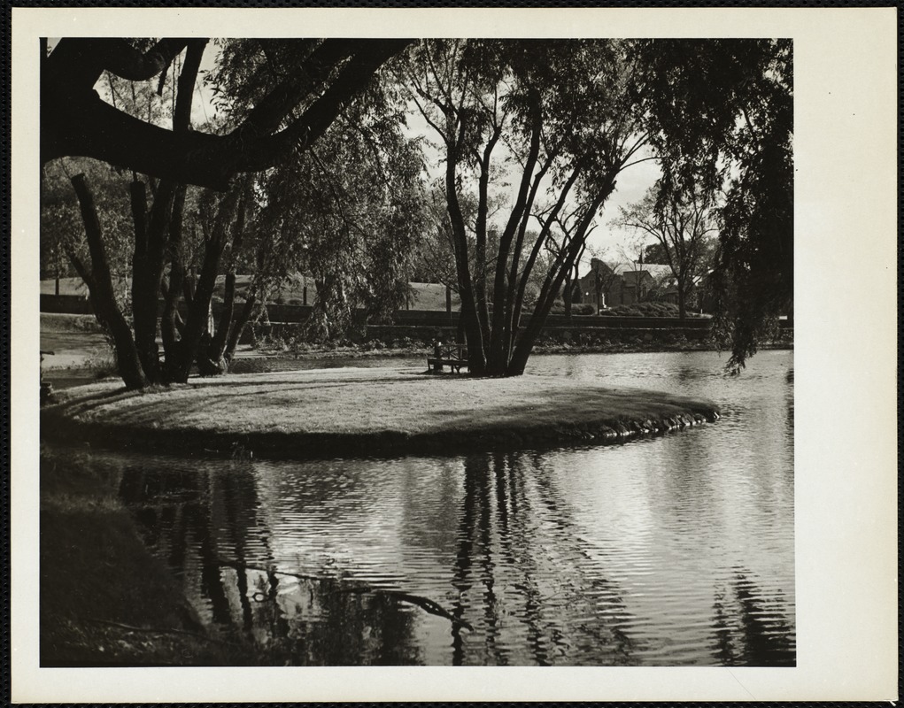 Mill Pond early 40s