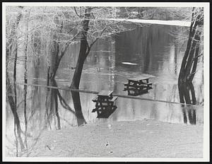 Have a picknick , in Charles River village - Needham