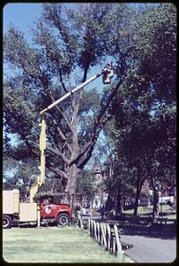 A man being elevated in a bucket truck