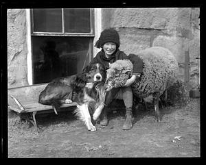A girl with a sheep and dog