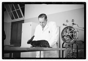 Dr. Dailey Angell Memorial Animal Hospital