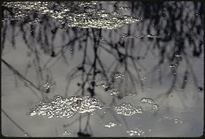 Upper branch of Charles River at Stony Brook, Norfolk