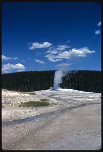 Steam rising from spring in front of forest, Yellowstone National Park