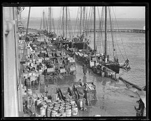 Waterfront fish pier - push-pull cart