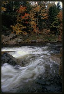 Autumn foliage and running stream, White Mountains, New Hampshire