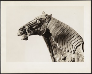 Detail of horse head