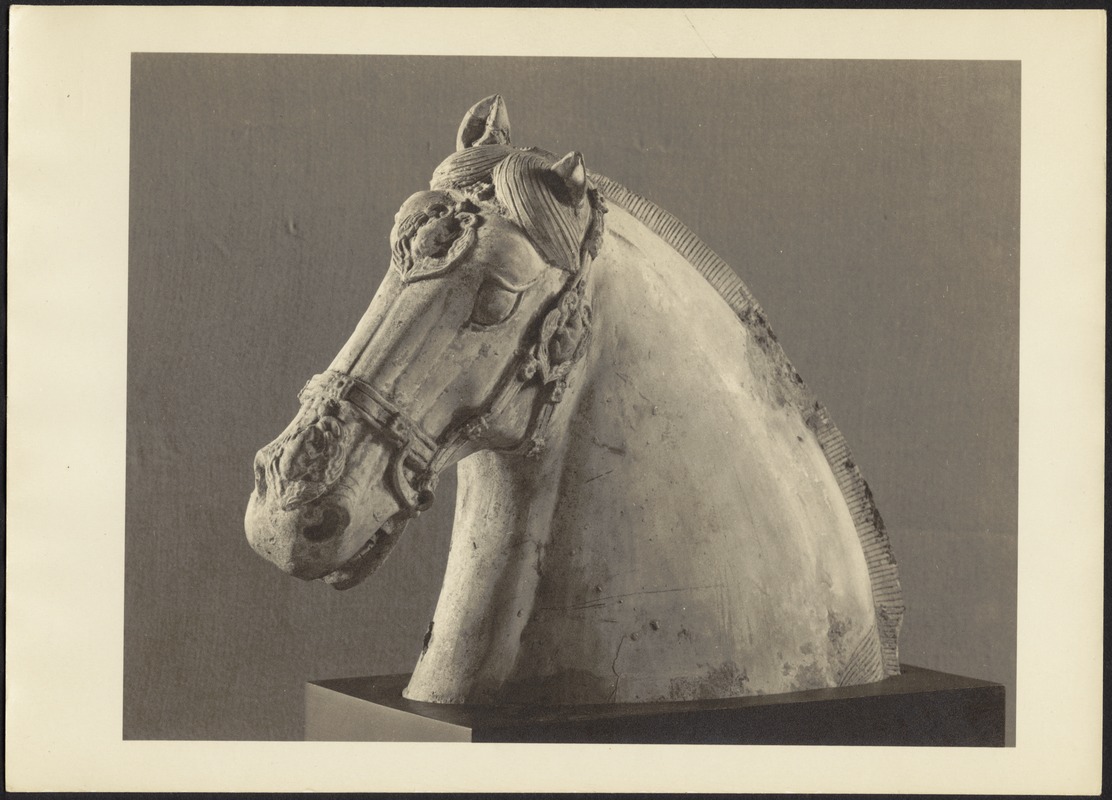Porcelain horse head