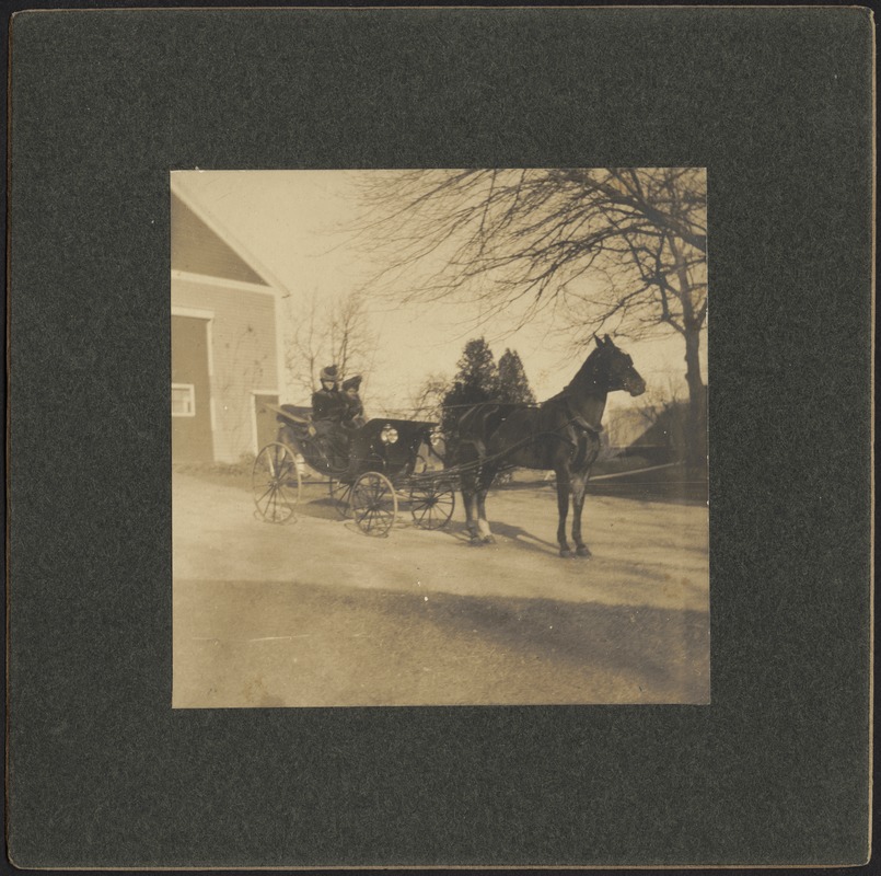 Two women in horse and carriage (possibly Gertrude S. Kunhardt on left)