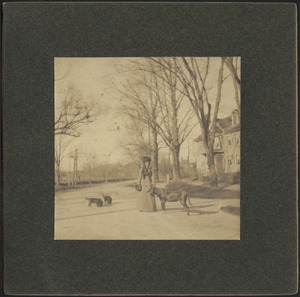 Ashdale Farm. Unidentified woman standing with dogs near house on Andover St.