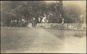 Ashdale Farm. Stone wall and lawn with dog.