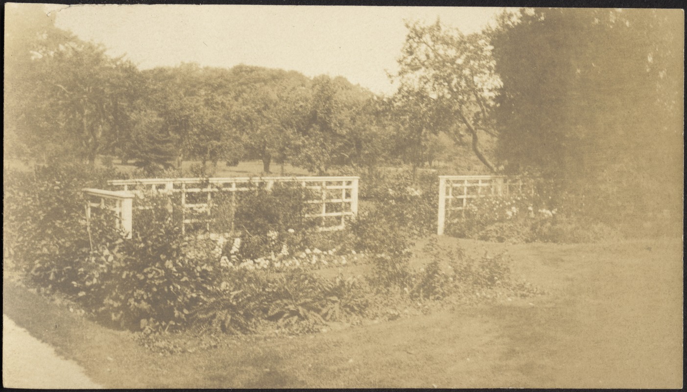 Ashdale Farm. Perennial garden.