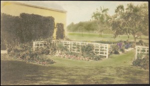 Ashdale Farm. Hand-tinted photo of gardens and barn