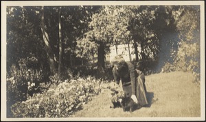 Ashdale Farm. Gertrude Kunhardt with dogs in garden