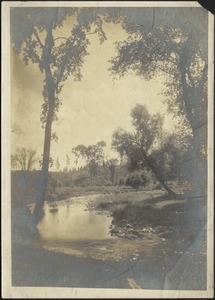 Photo of creek and trees
