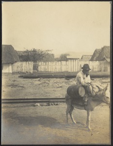 Man on burro near railroad tracks