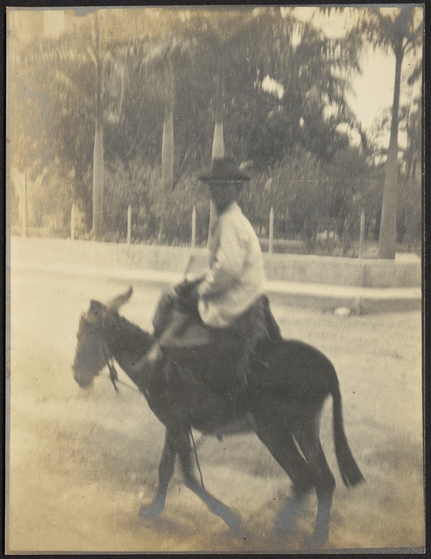 Man (or boy) riding burro - Digital Commonwealth