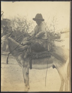 Boy sitting on burro