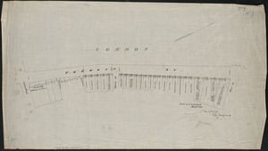 [Plan of Tremont Street, from West to Boylston]