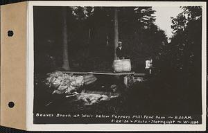 Beaver Brook at Pepper's mill pond dam, Ware, Mass., 8:20 AM, May 22, 1936