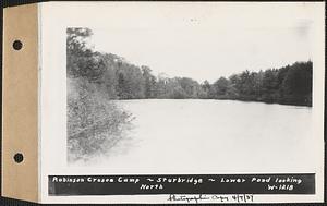 Robinson Crusoe Camp, lower pond looking north, Sturbridge, Mass., Apr. 7, 1937