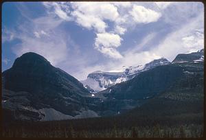 Mountain landscape with trees in foreground and snow in background, Yoho National Park, British Columbia
