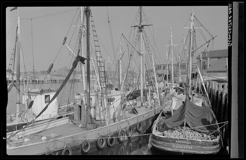 Waterfront scene, Gloucester