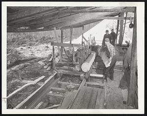 Logs clamped onto a carrier -- like the heroine in old movie melodramas -- travel inexorably toward the teeth of the saw. With no Dick Daring or Fred Fortitude to effect a rescue -- the helpless hunks of hemlock are sliced like sandwich bread. Levers operated by the sawyer "spot" the logs for cutting to desired thickness.