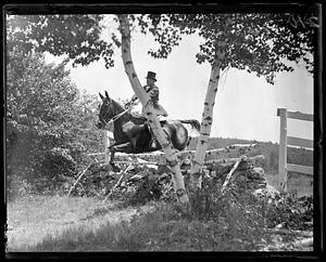Horse jumping