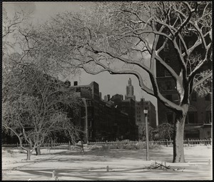 Public Gardens Feb. 1945