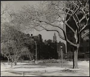Boston Public Gardens Feb. 1945