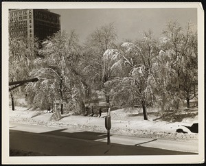 Public Gardens, Boston Feb. 1945