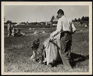 New cranberry picker - Cape Cod early 1950s