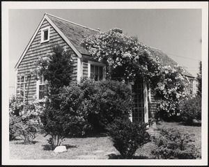 Cape Cod house