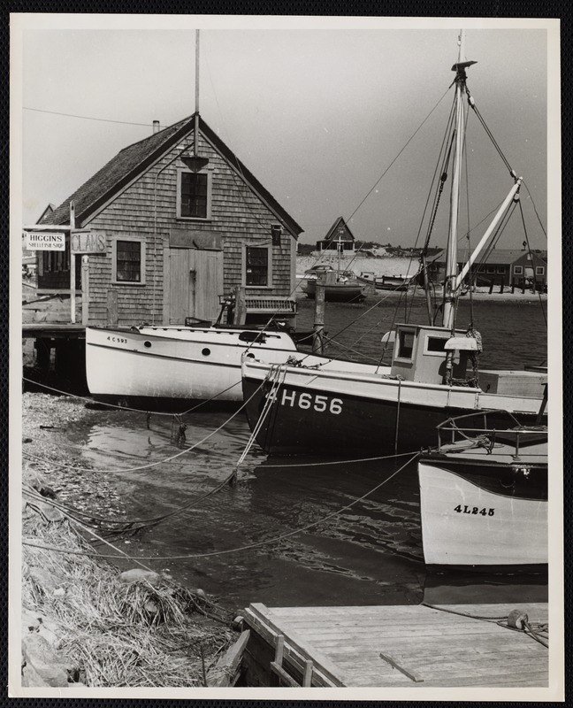 Cape Cod Wellfleet, Mass Digital Commonwealth