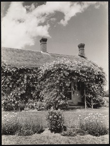 Rose covered cottage - Chatham, Massachusetts