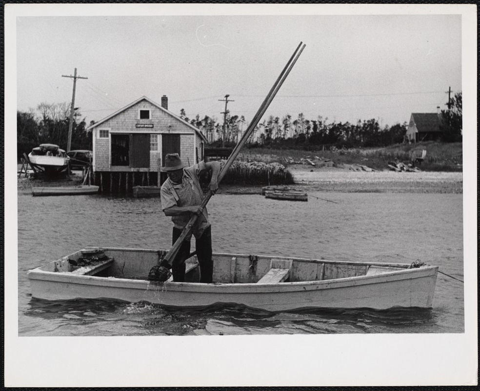 Cotuit, Massachusetts. Getting Cotuit oysters