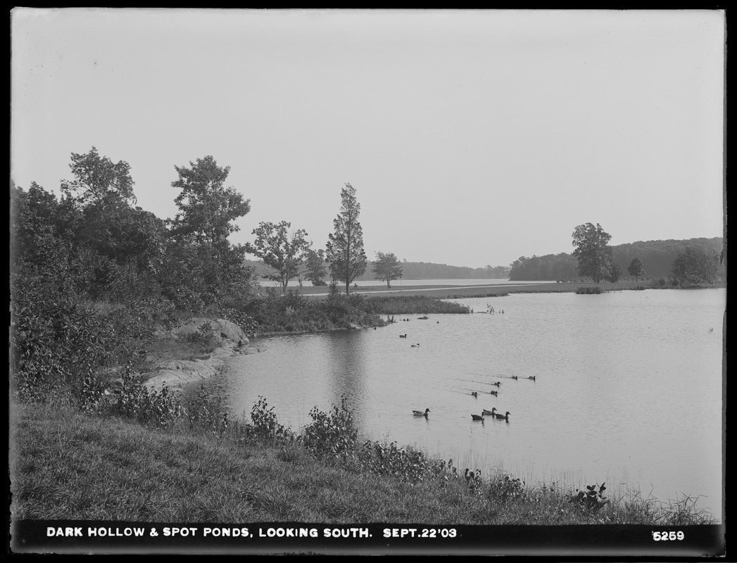 Distribution Department, Low Service Spot Pond Reservoir, Dark Hollow Pond (with ducks) and Spot Pond, looking southerly, Stoneham, Mass., Sep. 22, 1903