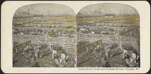 Union stock yards and packing houses, Chicago, Ill.