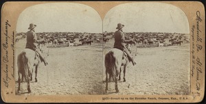 Round-up on the Sherman ranch, Genesee, Kan., U.S.A.